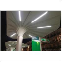 2025-07-25 T1 Gare Nord - Jardin des Plantes 07.jpg